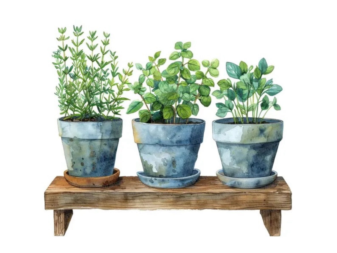 Garden Collection 2026