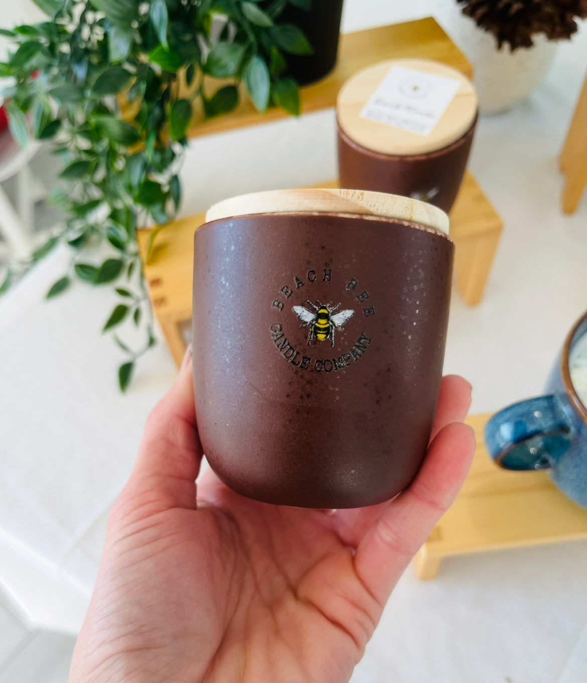 Coffee Break Espresso Collection